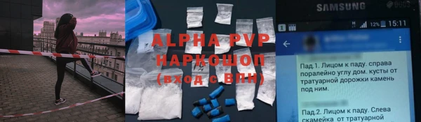прущие грибы Арсеньев