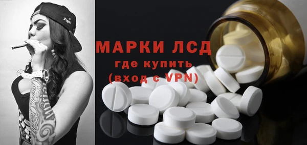 мяу мяу мука Аркадак