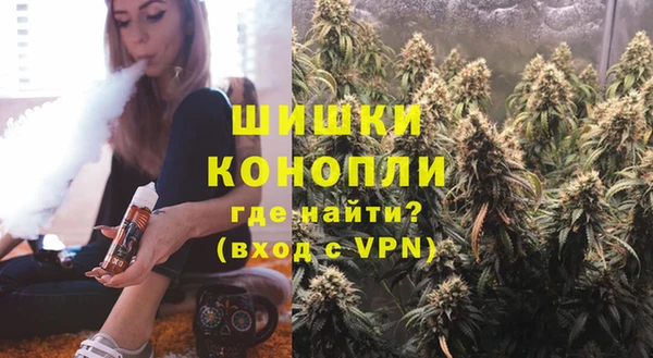 прущие грибы Арсеньев