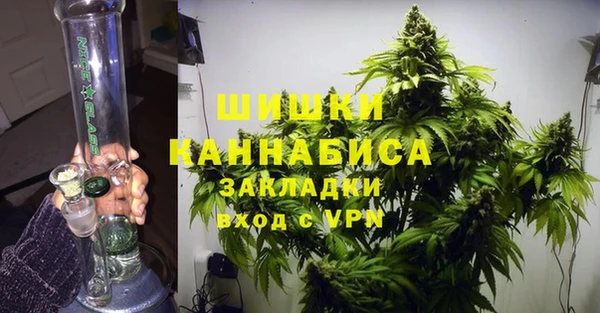 прущие грибы Арсеньев