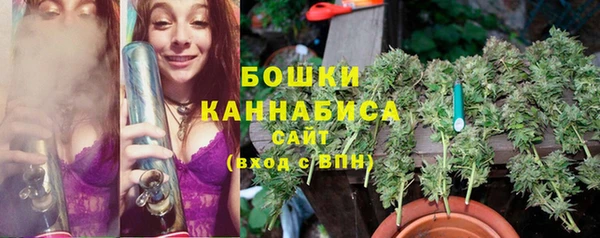 прущие грибы Арсеньев