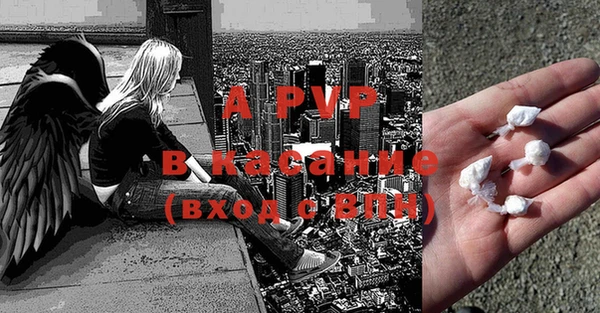 прущие грибы Арсеньев