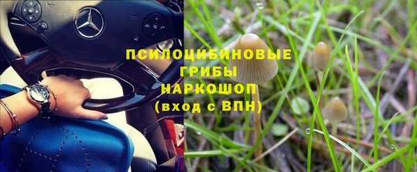 прущие грибы Арсеньев