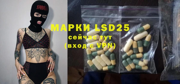 прущие грибы Арсеньев