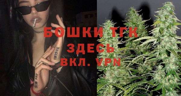 прущие грибы Арсеньев