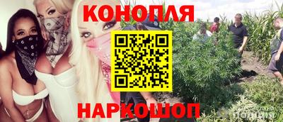 mdpv Шебекино