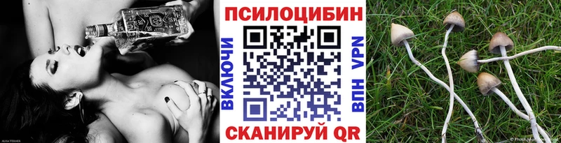 хочу   hydra сайт  Псилоцибиновые грибы Cubensis  Асбест 