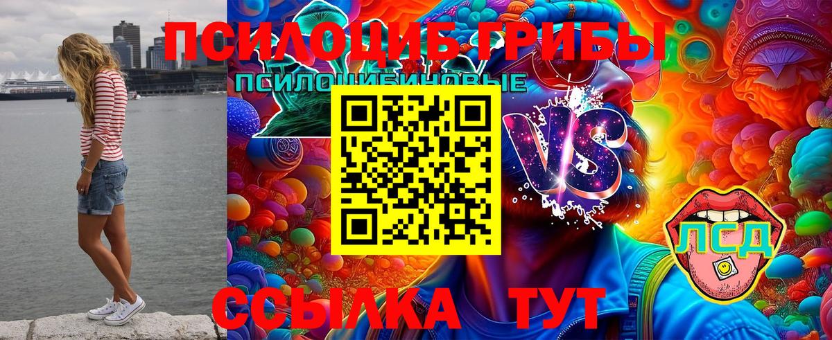 Псилоцибиновые грибы MAGIC MUSHROOMS  Вход с VPN  закладки  Асбест 
